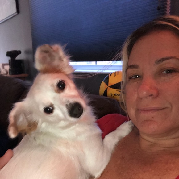 Meet your Posher, Tara - Picture 8 of 16